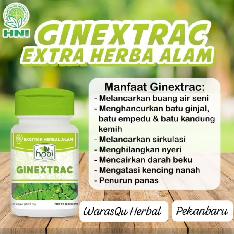 GINEXTRAC HNI HPAI Original 100% || Membantu Mengobati Batu Ginjal , Batu Empedu || 50Kapsul