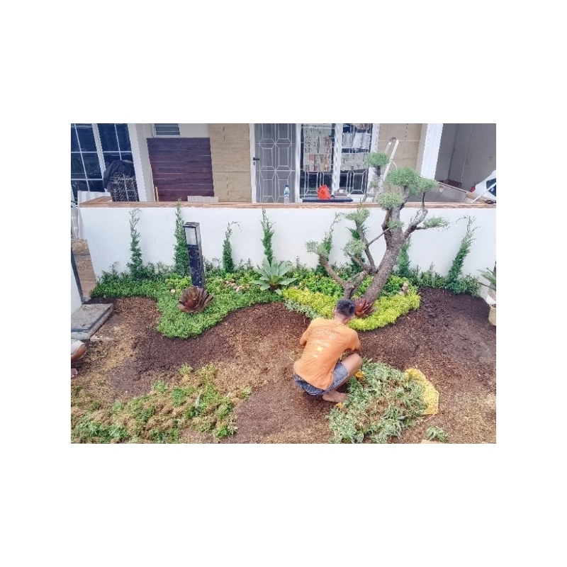 jasa pembuatan taman rumah minimalis