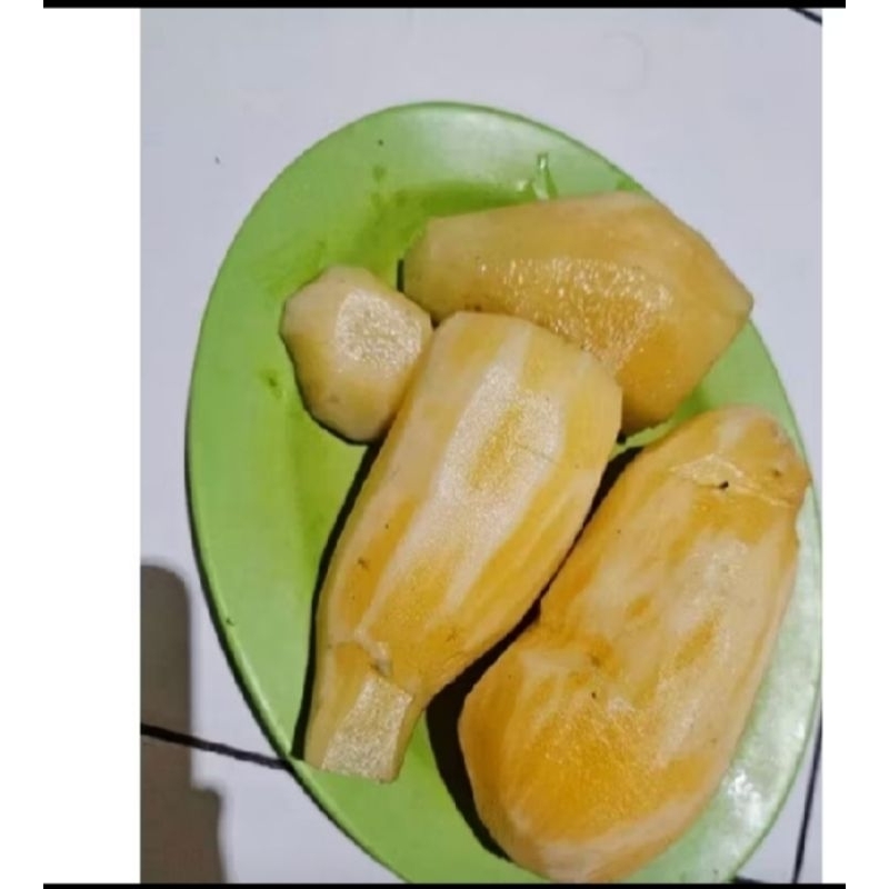 

Ubi Yakon Wonosobo murah