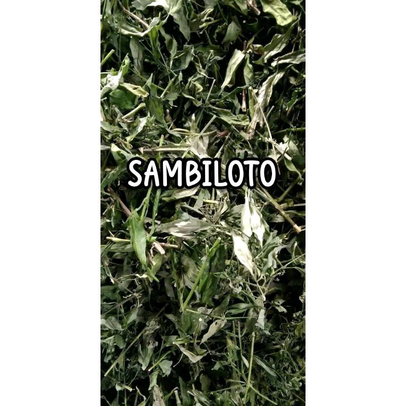 

SAMBILOTO KERING / SAMBIROTO 100% Murni Original - Isi 1.KG