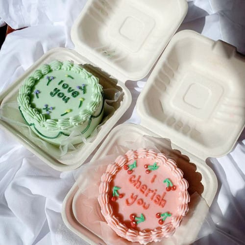 sugarcane bagasse burger box dus korean bento cake lunch