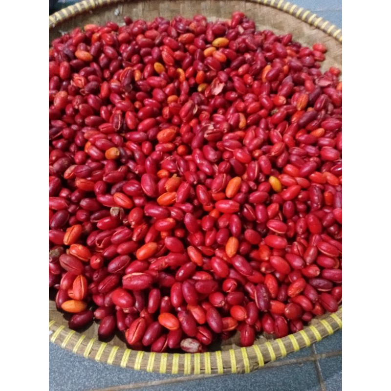 

1kg kulit melinjo mentah full merah super empuk