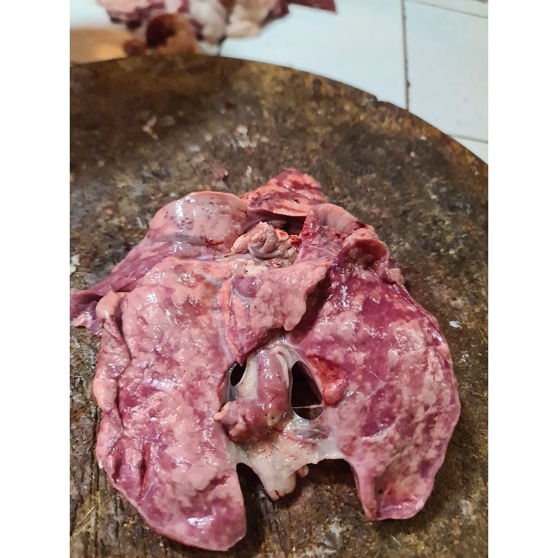 

Paru kambing/domba 1000 gram