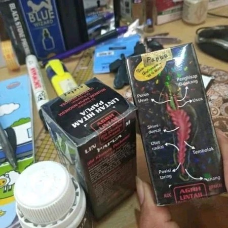 Minyak Lintah Hitam Papua Asli 100% Minyak Lintah Original 100% asli Minyak Lintah Original