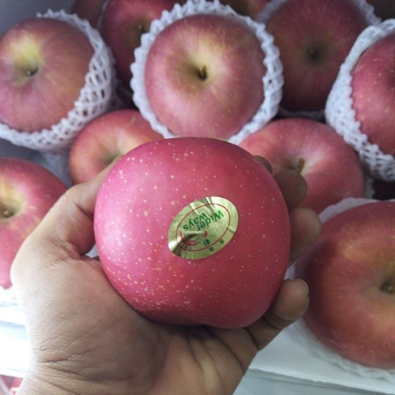 

Apel Fuji Madu wider ways Fresh 1kg