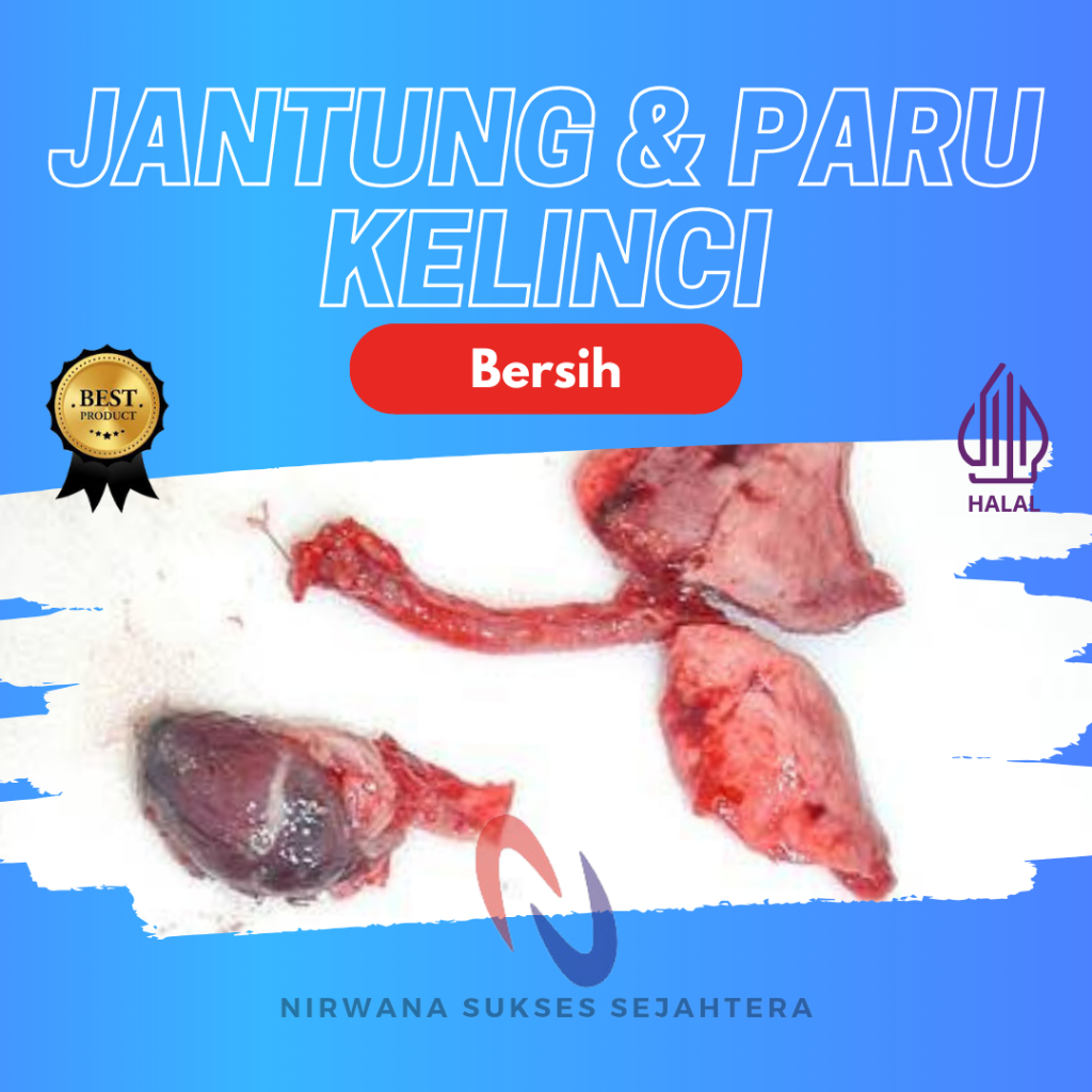 

JANTUNG & PARU-PARU KELINCI BERSIH / RABBIT LUNGS & HEART