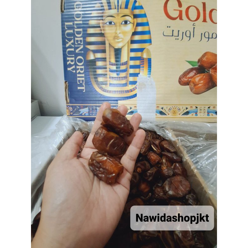 

Kurma Mesir Golden Orient 10 kg Enak Manis Tidak Berpasir Exp.2026