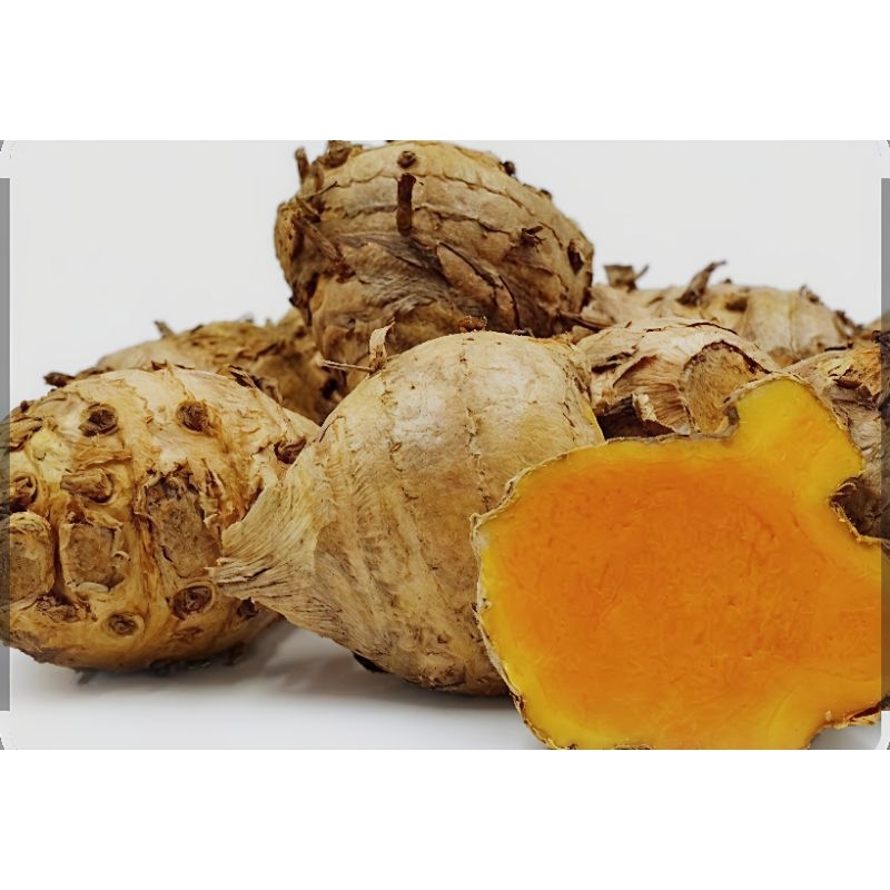 

TEMULAWAK HERBAL ALAMI 1KG