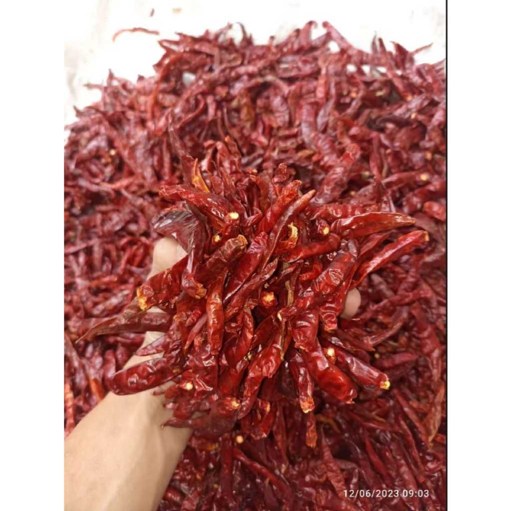 

Cabe Kering ( 1Kg ) Asli Teja Grade A Tanpa Tangkai