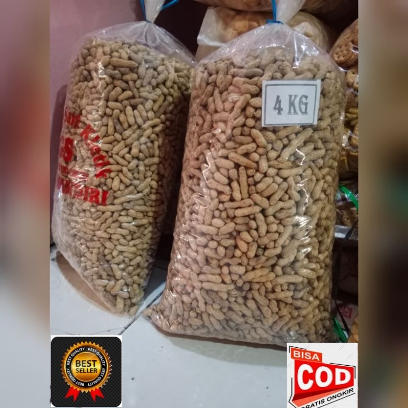 

Promo termurah kacang sangrai 4 kg super renyah daan gurih