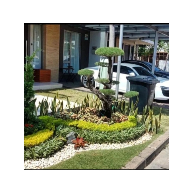 jasa pembuatan taman rumah minimalis