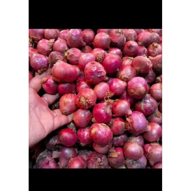 

BAWANG MERAH 1KG&500grm
