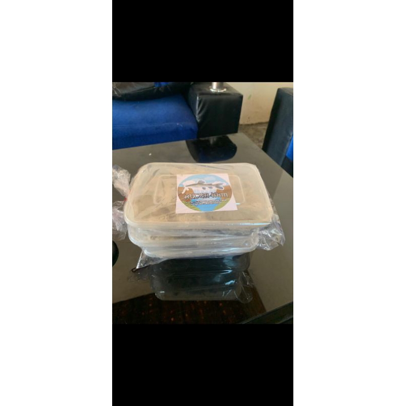 UMPAN MANCING  IKAN BAUNG (KUCUR KARIM)