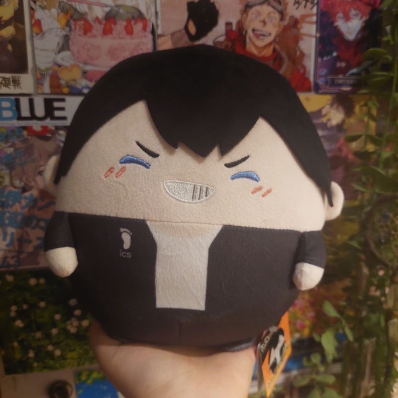 (SIZE M) Kageyama Fuwakororin Haikyuu doll Kageyama Tobio Fuwakororin