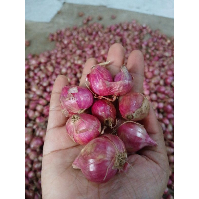 

Bawang Merah Lokal Nganjuk