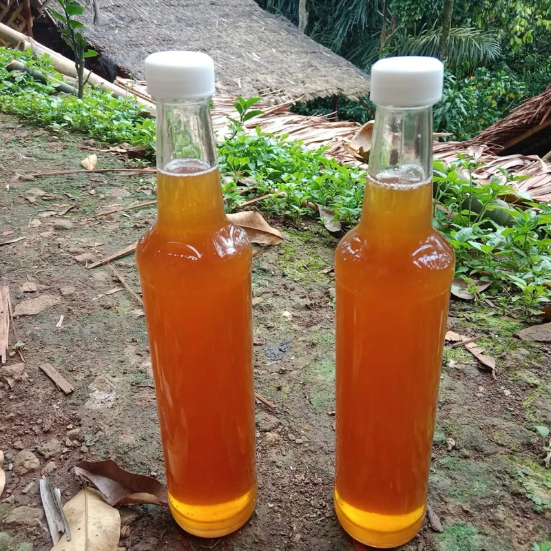 

madu asli hutan baduy