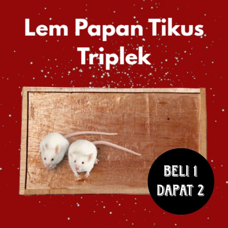 Sunbloom Lem Papan Tikus Triplek Lebih Kuat Beli 1 Dapat 2