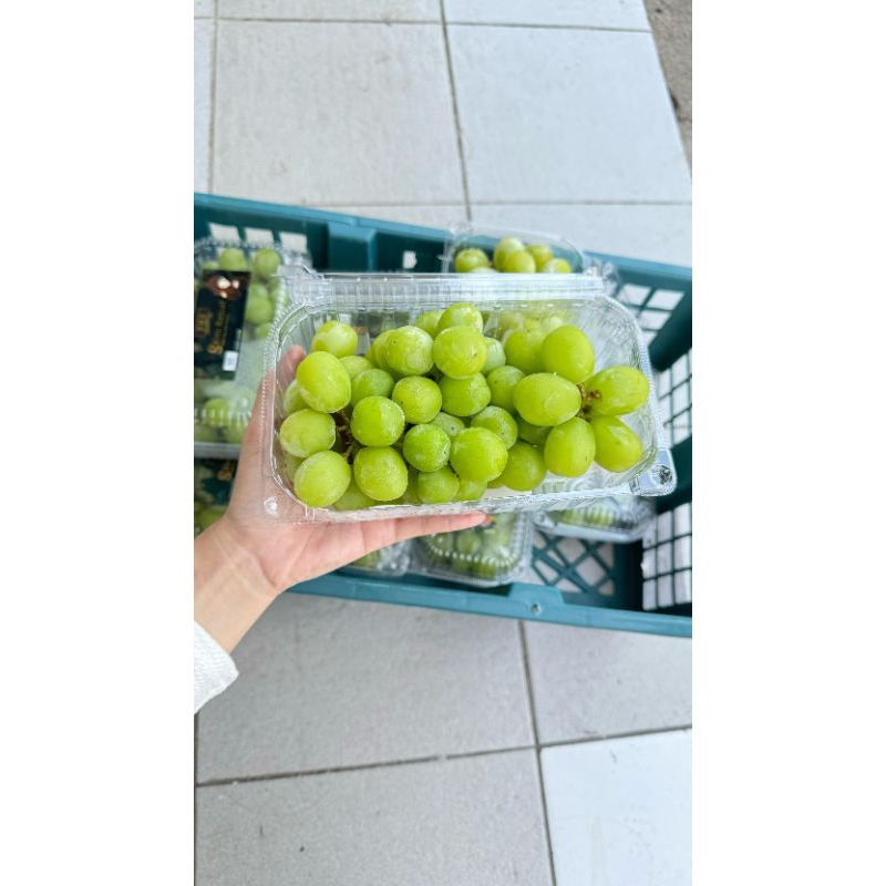 

Anggur Muscat (500 GRAM)