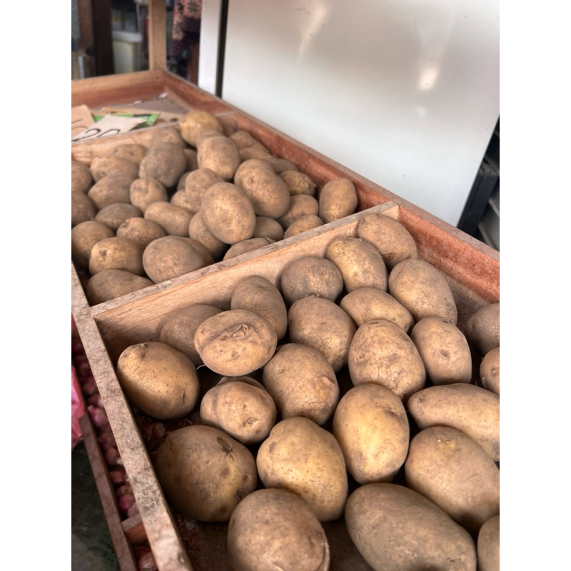 

Kentang Segar Super Tanggung Kecil Ukuran 500 gram dan 1 kg