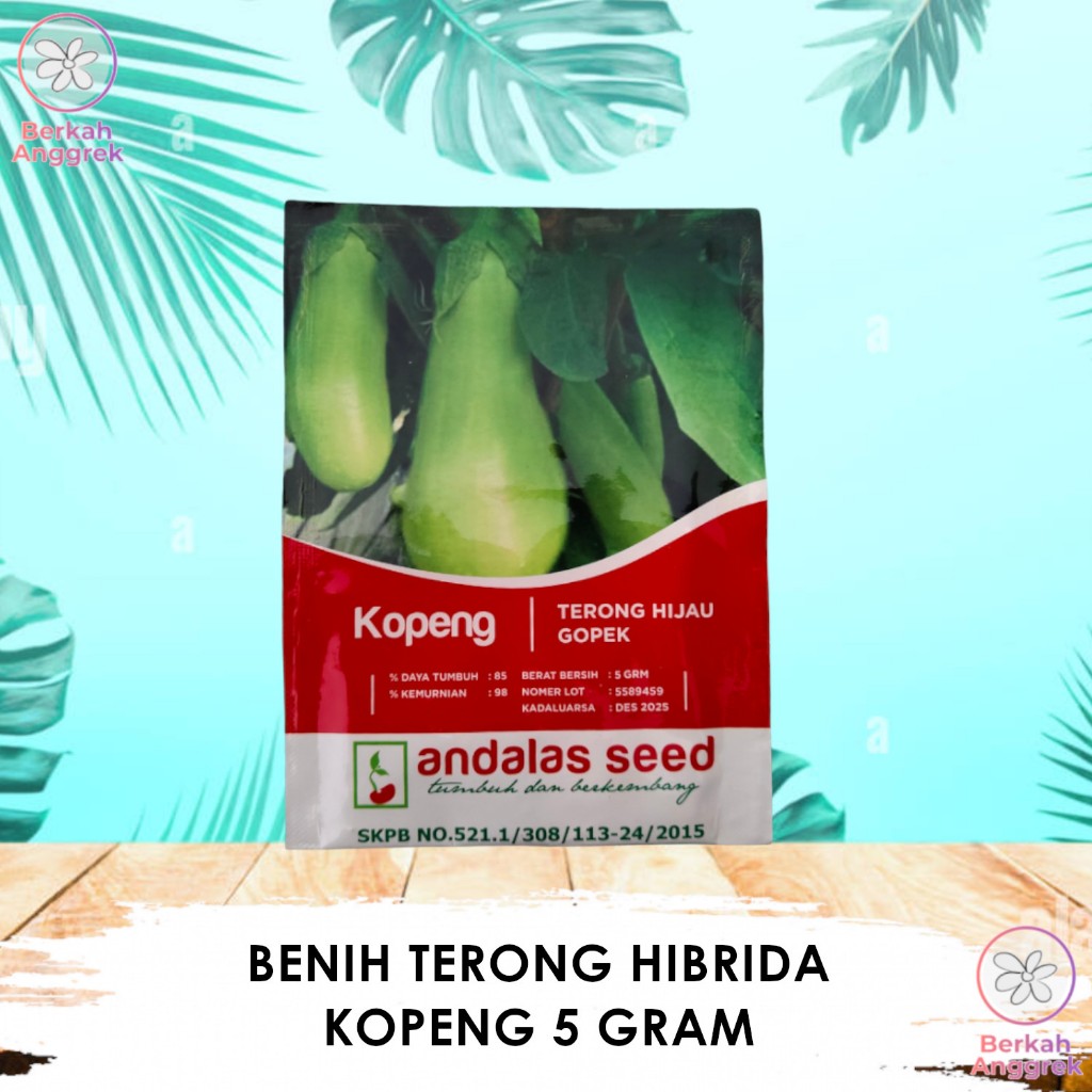Terong Kopeng 5 Gram Benih Terong Hijau