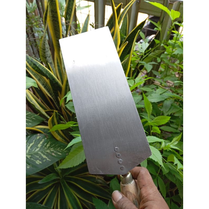 Cetok Galur Asli Cetok Galur Kotak Ukuran 25cm