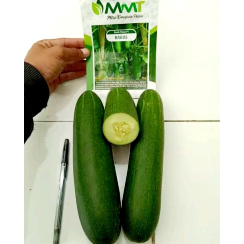 Benih Timun Bagos MMT