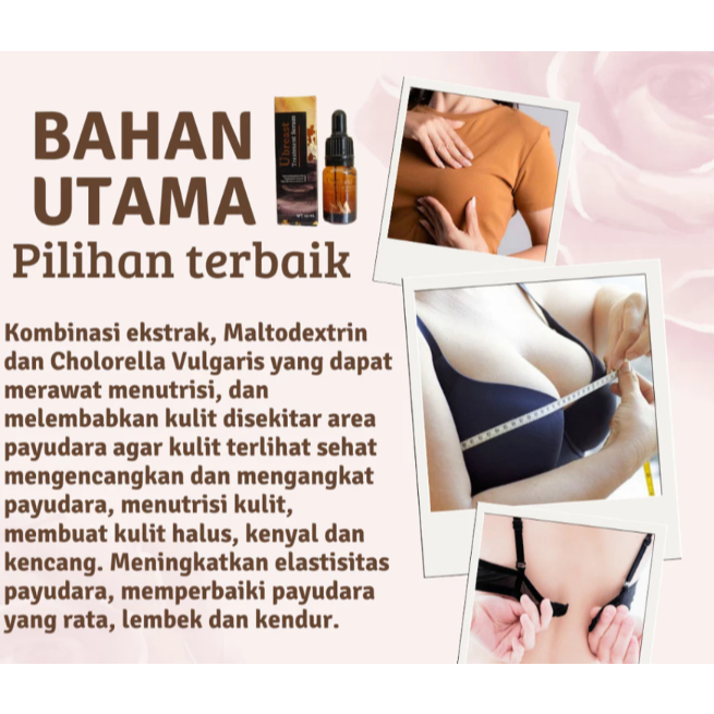 pembesar payudara herbal ampuh BPOM