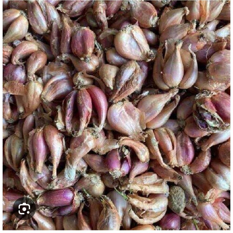 

BAWANG GORENG MENTAH ( JM 1 KOSONG)