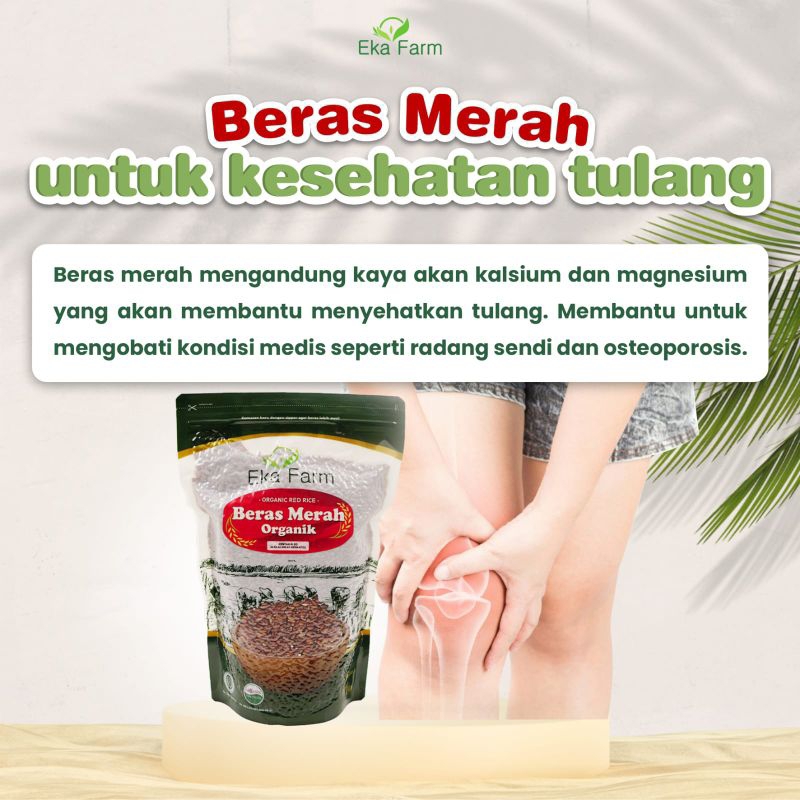 

Eka Farm Beras Merah Organik 1kg