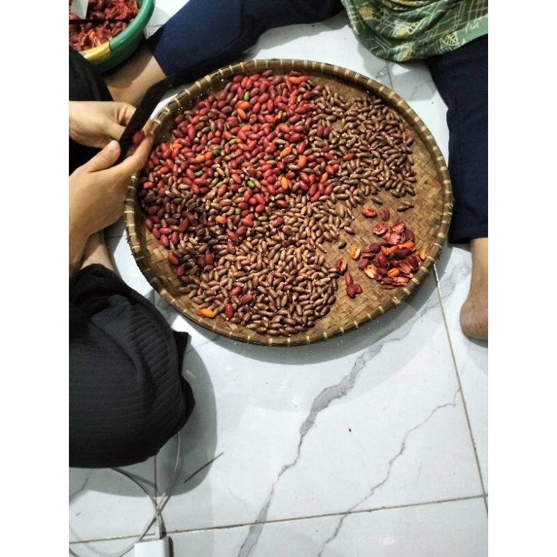 

Biji Melinjo 1 kg murah