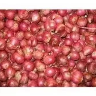 

bawang merah Probolinggo 500g, 1kg