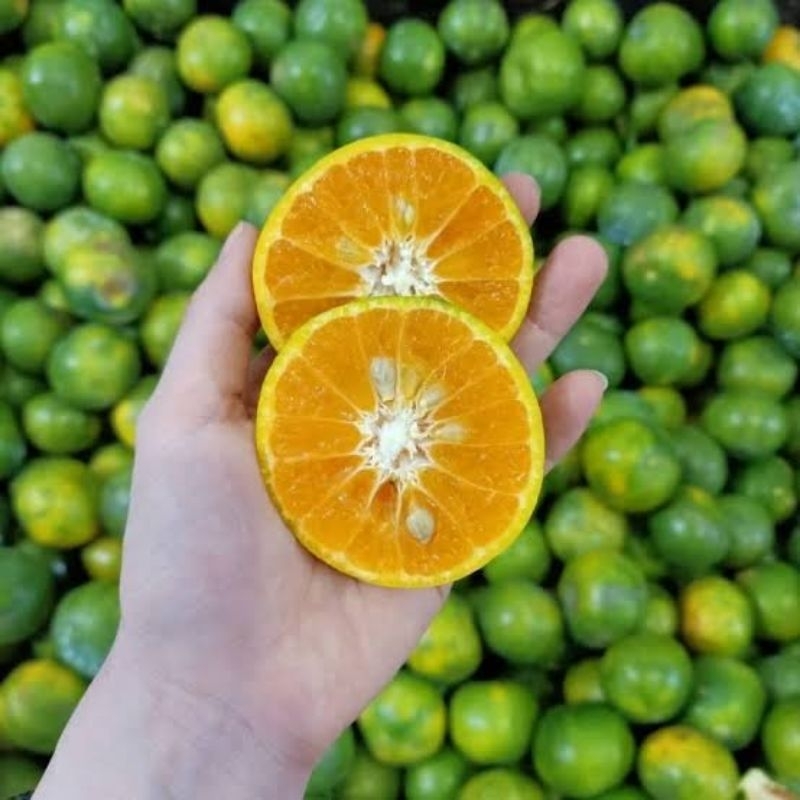 

Jeruk Peras 1 Kg