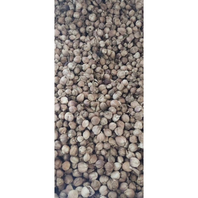 

JKL g kapulaga kering rempah-rempah kering langsung d jemur kualis A1