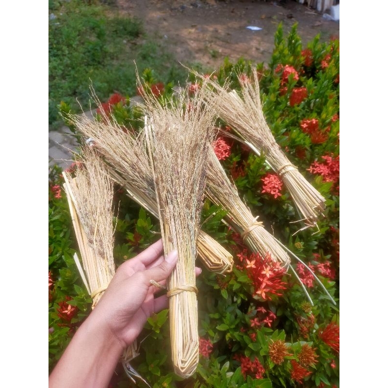 

promo cuci gudang merang jerami ketan hitam (penangkal ilmu hitam)