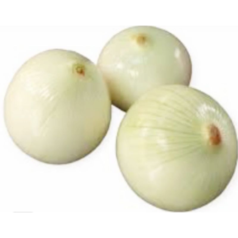 

BAWANG BOMBAY KUPAS SEGAR RP 32.000 / KG