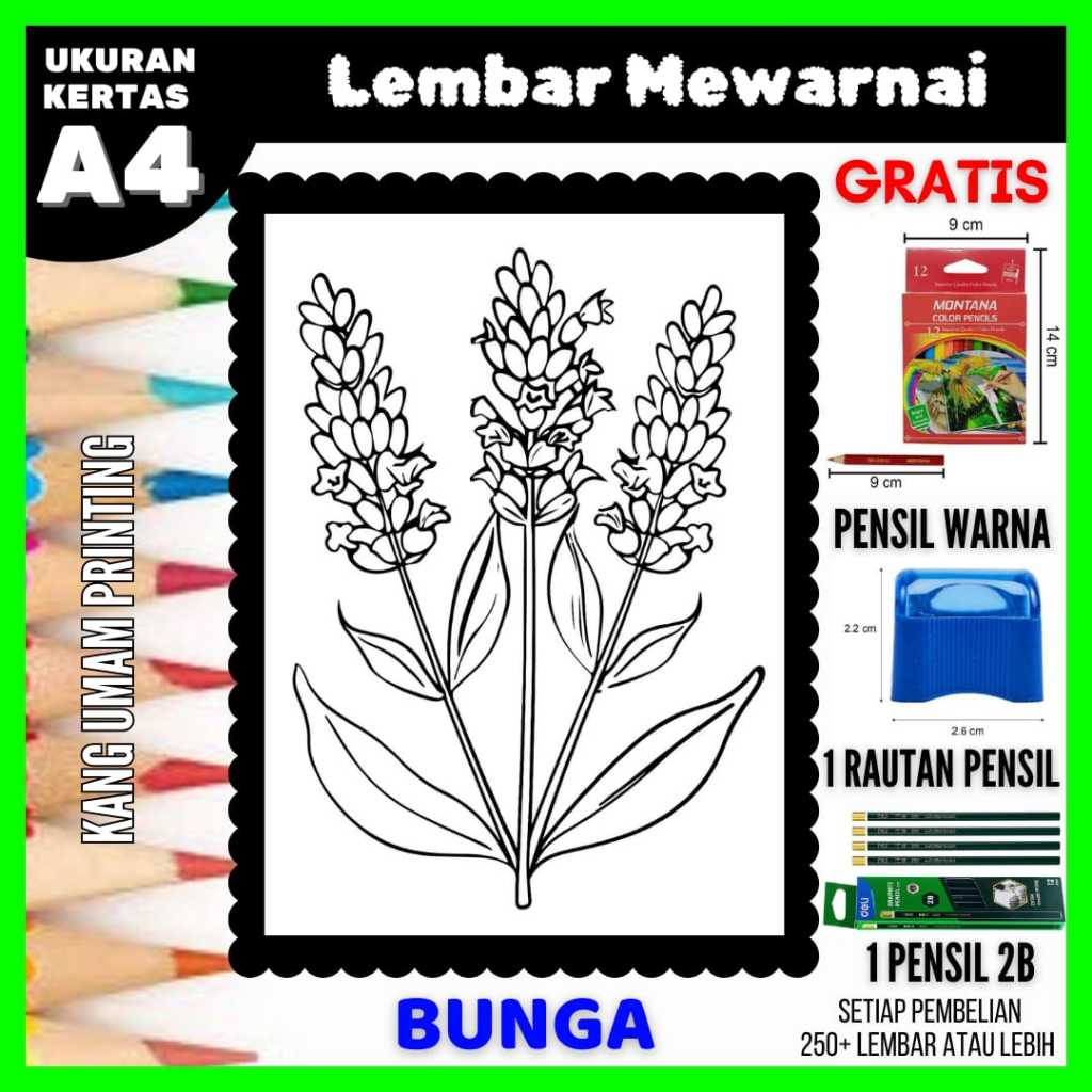 

Lembar Mewarnai Gambar Berbagai Macam Bunga Semua Usia Bagian 16, Sketsa , Kertas Mewarnai , Drawing