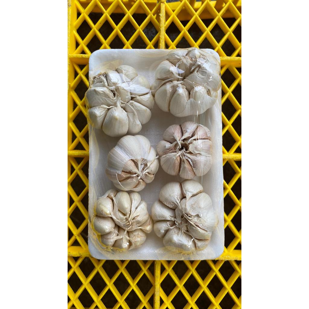 

Bawang Putih 1kg