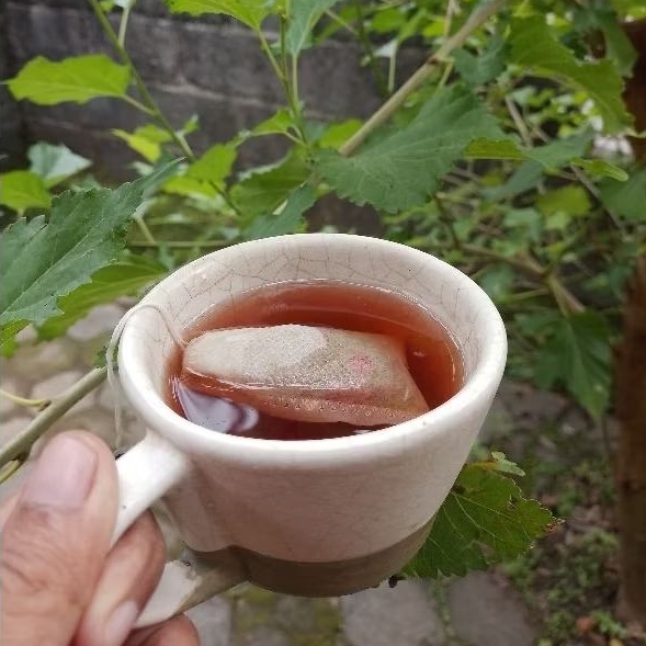 

SAMPLE 1 PCS INSOMNIA RESCUE DEEP SLEEP TIDUR NYENYAK TISANE TEA