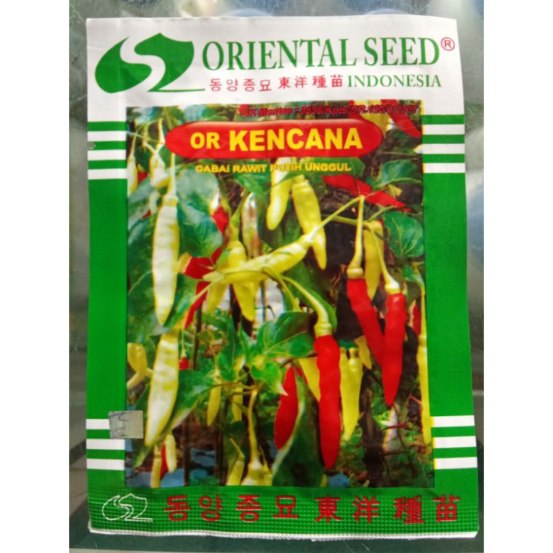 BENIH CABE RAWIT OR KENCANA ORIENTAL SEED