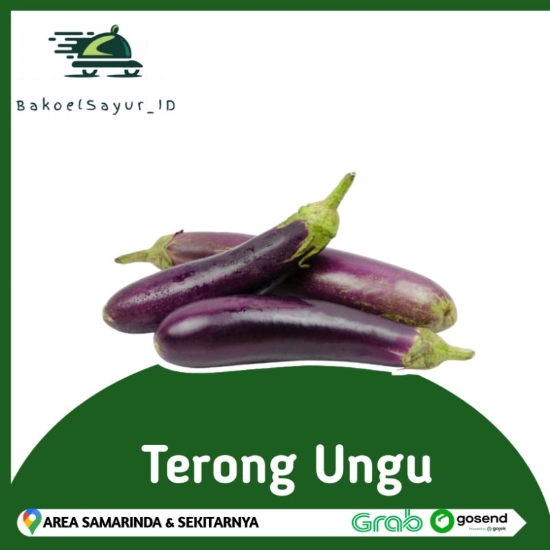 

Terong Ungu 500gr/1kg Pilihan