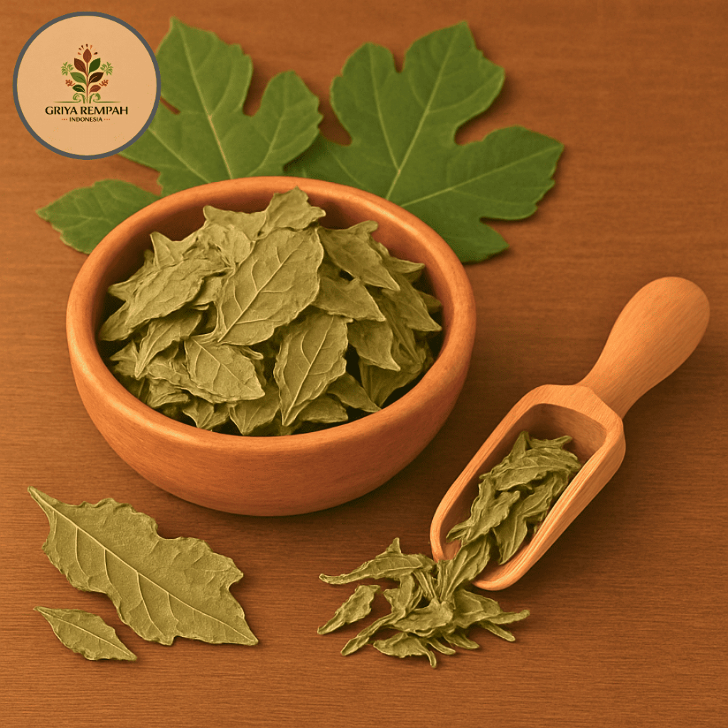 

DAUN TIN KERING 500 GRAM Rempah Daun Ara Herbal Simplisia Alami untuk Ramuan Jamu Tradisional Diabetes Asam Urat Kolesterol & Daya Tahan Tubuh Fig Leaf Ficus carica