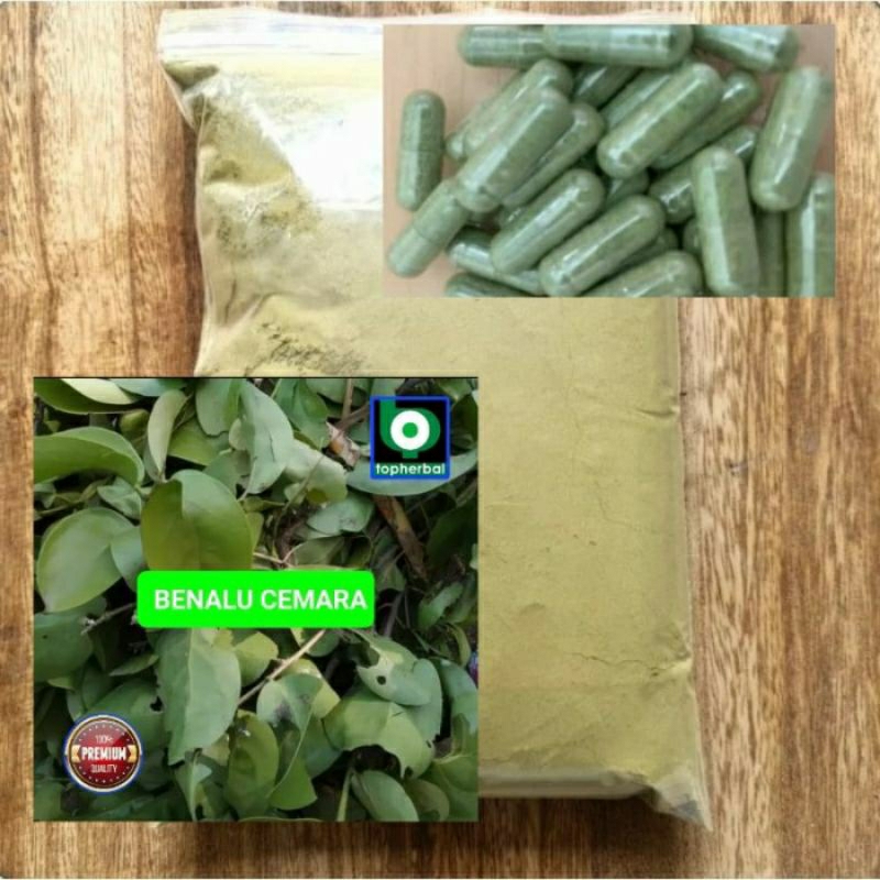 

Kapsul Benalu isi Cemara 100 Kapsul (Kering Hijau Organik Super Premium)