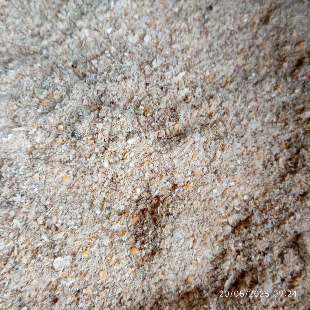 PAKAN AYAM PETELUR (P3-GL)-1KG - PAKAN PETELUR