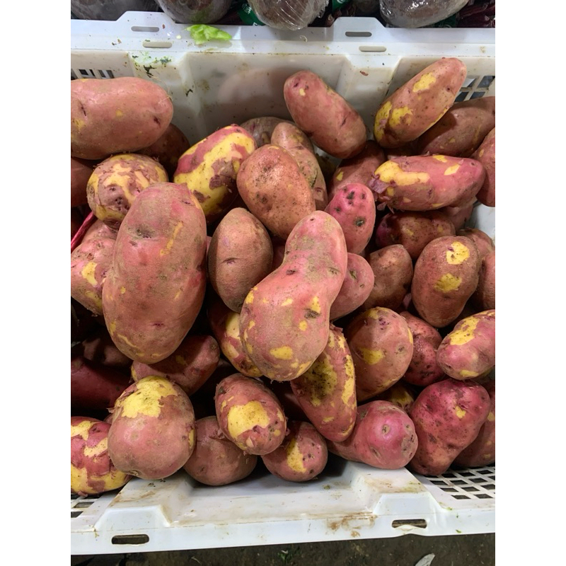 

Kentang Merah Bromo - 500gram