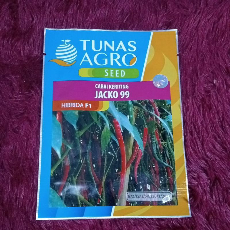 BENIH CABAI KERITING JACKO 99