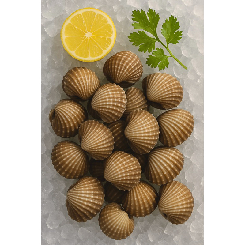 

kerang dara fresh | Kerang dara | 1kg
