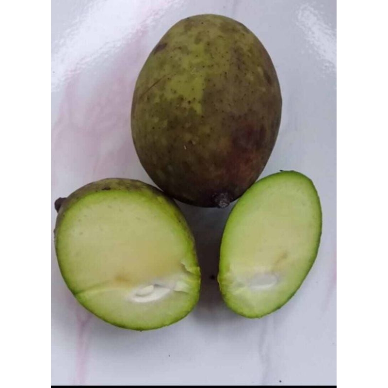 

Buah Pakel Bacang Limus 1 Kg Fress