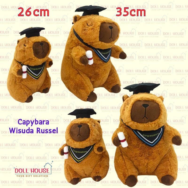 Boneka Wisuda Capybara / Boneka Graduation CapyBara / Boneka Capybara Wisuda / Boneka Gradu Capybara