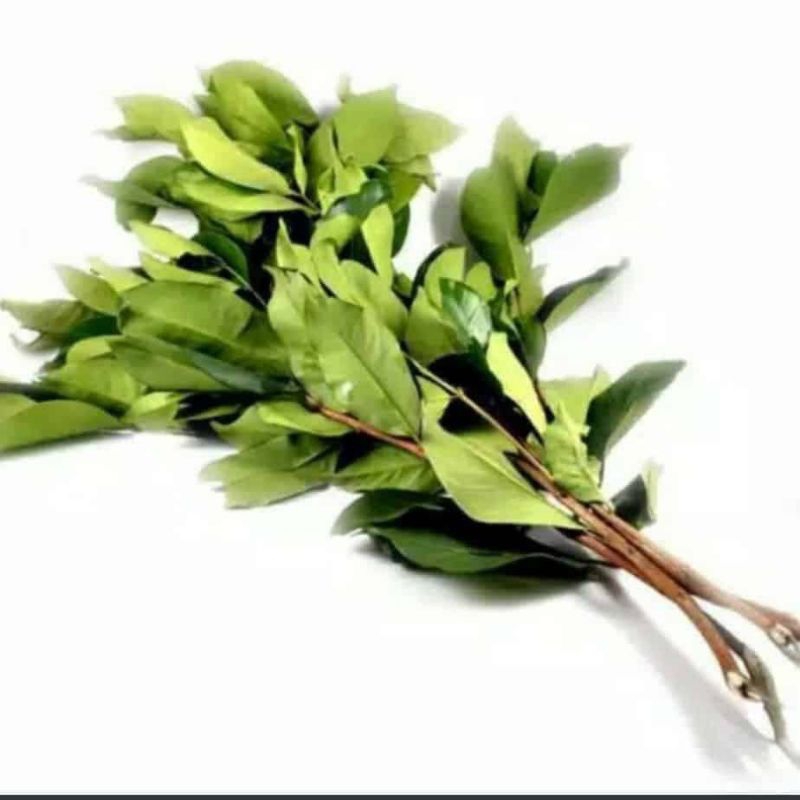 

daun salam per 1ikat 200gr