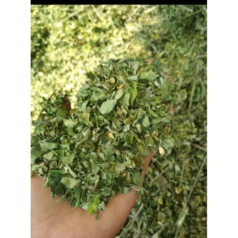 

daun kelor kering 100%original murah bisa COD 100gram